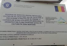 Centru de colectare a fructelor de pădure, la Polovragi