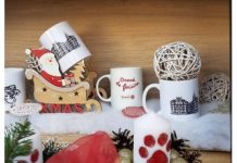 De Ziua Națională a României, Clubul Rotary Târgu Jiu a dăruit bucurie comunității și un strop de FERICIRE