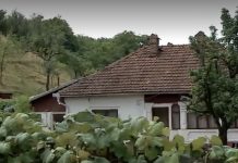 Pedeapsa primită de criminalul contabilei din Baia de Fier. Câte un an de închisoare pentru fiecare lovitură de cuţit!