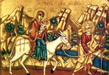 Viaţa Spirituală – Calea, Lumina, Adevărul şi Viaţa! – Dumnezeu are ştire de noi şi ne acoperă cu Atotputernicia Sa, pentru că nici nu este un refugiu mai minunat, decât acela de a ne sălăşlui pentru a trăi în umbra aripilor Sale!