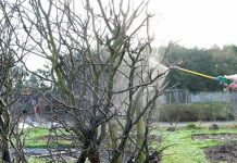 Agricultura pe înțelesul tuturor – Lucrări agricole în repausul vegetativ