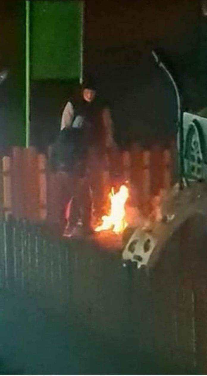 414777368_386787953836887_7795569417955683362_n