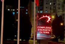 Cum și-au împărțit partidele susținerea pentru viitorii membri ai Directoratului CEO! Iată lista cu cei care își doresc indemnizația de 24.000 de lei!