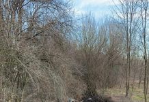 Accident la Căpreni. O femeie a murit și alte două persoane au fost rănite