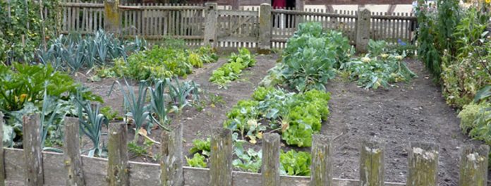 Organizarea-gradinii