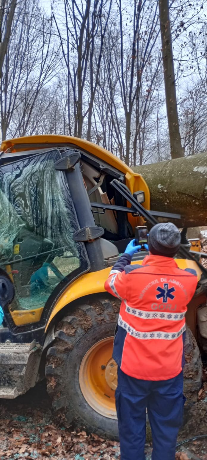 Săulești: Accident mortal în pădure. Bărbat strivit de un arbore căzut peste utilajul în care se afla