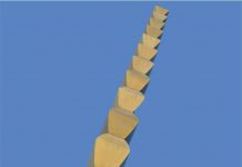 Conferința „O infinită memorie. Brâncuși la Târgu Jiu”, susținută mâine, la Timișoara