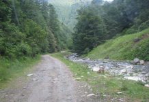 Trasee educative, înființate de Romsilva în pădurile din Gorj