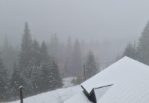 Zone montane sub cod galben