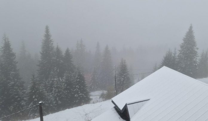 Zone montane sub cod galben