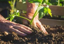 Agricultura pe înțelesul tuturor – Să ne protejăm ecologic grădina, casa și gospodăria