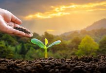 Agricultura pe înțelesul tuturor – Să ne protejăm ecologic grădina, casa și gospodăria