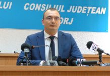 Zeci de gorjeni nevăzători – șoferi cu acte-n regulă!