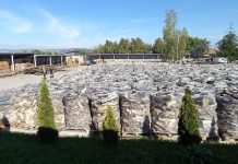 Protocol între Romsilva și Poșta Română pentru compensarea sumelor aferente lemnului de foc