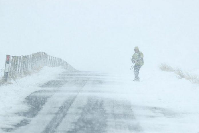 Cod galben de viscol