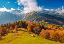 Prima săptămână din ianuarie, mai caldă. Prognoză pentru toată luna