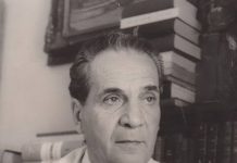 Lecția despre Brâncuși (V)