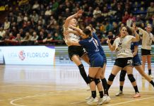 S-au bătut singure. Gorjencele, risipitoare la Vâlcea