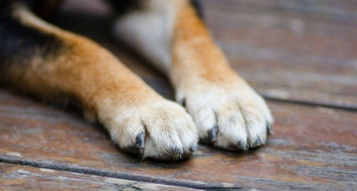 426175926_771020261142161_8400746928578147783_n