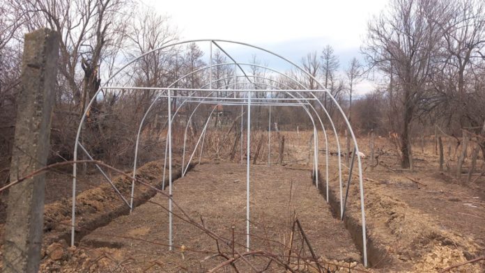 4303057a-c845-4342-b4a9-8c73ba80b815