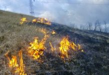 Garda de Mediu Gorj: Incendierea vegetației uscate, interzisă prin lege!