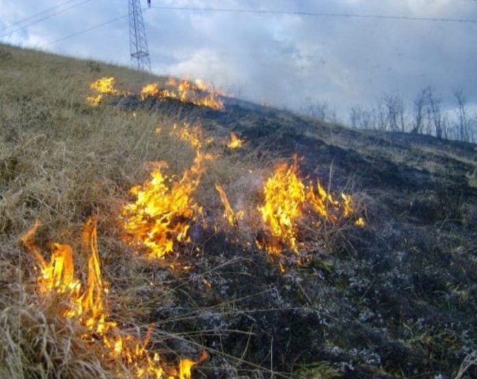 8f10a66f-6fc8-49b2-8fcf-3f950520d0fe