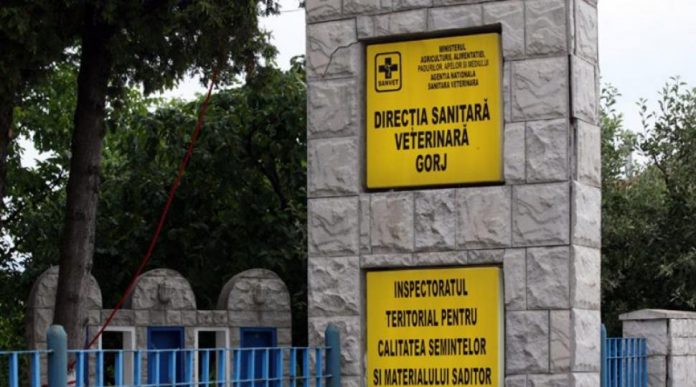 Servicii veterinare de peste 1,8 milioane de lei, scoase la licitație de DSVSA pentru trei comune din Gorj