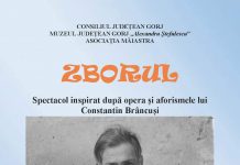 Recital de vioară, astăzi, la Muzeul Județean Gorj