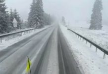 Revin ninsorile la munte! Pentru o zi!