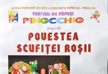 Spectacol de teatru de păpuși, la Sadu