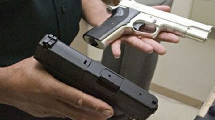 Câți gorjeni au declarat că dețin arme de foc. Cifrele, de ordinul miilor