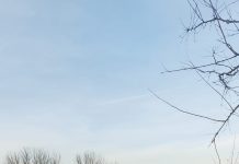 Primul solar, construit în mod gratuit, va ajunge la o familie cu șapte copii din comuna Câlnic