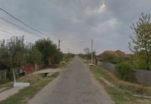 Inginerul Răceanu și Impactul colectivizării în satul Bobu (1949 – 1962)