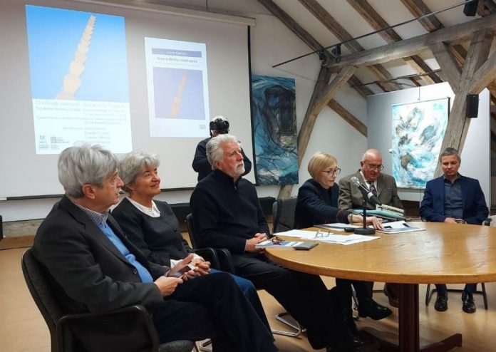 brancusi timisoara (2)