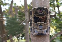 A sustras camera video din copac