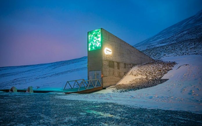 Număr record de semințe aduse la ”Depozitul Apocalipsei”