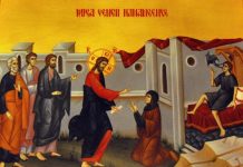 Viaţa Spirituală – Calea, Lumina, Adevărul şi Viaţa! – Dumnezeu nu ne vrea habotnici, superstiţoşi sau proşti, ci ne vrea fii ai Înţelepciunii şi ai Iubirii stăruitoare, ce ne apropie cu sufletul smerit spre mila Lui tămăduitoare!