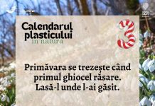 Garda de Mediu Gorj: Mărțișor – avalanșă de plastice! Ghiocelul, specie protejată