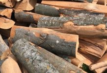 Novaci: Transport de material lemnos fără acte
