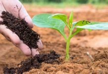 Agricultura pe înțelesul tuturor – Să ne protejăm ecologic grădina, casa