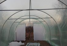 PUSL Gorj: S-au strâns fonduri pentru continuarea sprijinirii familiilor cu posibilități financiare reduse