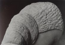 Lecția despre Brâncuși (XIX)