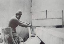 Lecția despre Brâncuși (XX)