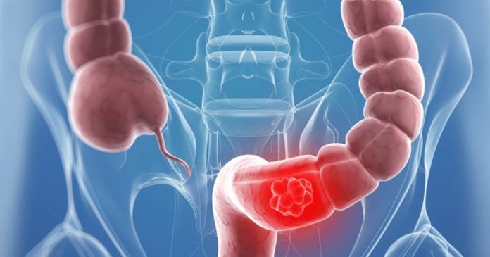 431490936_417542487454003_3248437100762860267_n