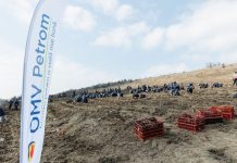 Copaci plantați de OMV Petrom la Târgu Jiu