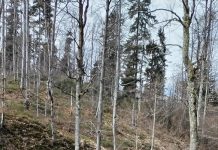 Firma care a aruncat substanțe și produse poluante la Runcu, pe malul apei, amendată de jandarmi