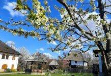 Un vis devenit realitate pentru fiul sculptorului gorjean Nicolae Vânătoriu