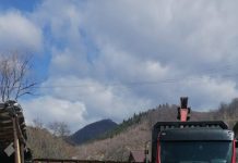 Amenzi pentru transportatorii de lemne