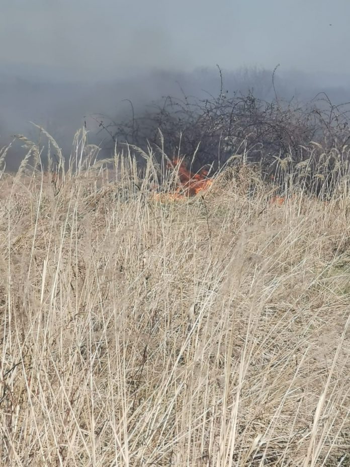 FOTO: Incendiu de vegetație la Lelești
