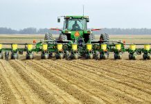 Agricultura pe înțelesul tuturor – Calendarul lucrărilor agricole în luna martie